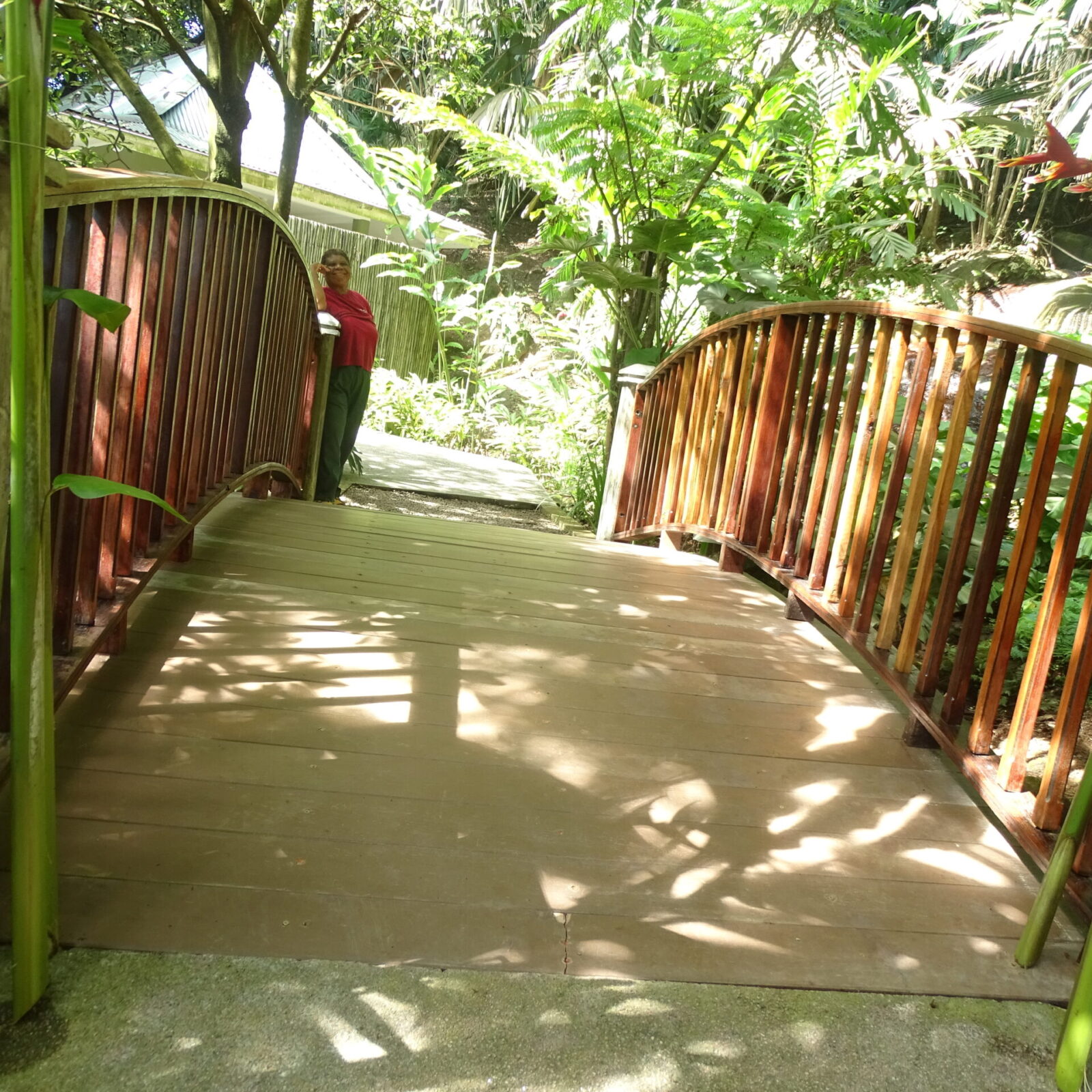 Seychelles Botanical Garden Bridge Renovation Complete Donation from Travizory supports Seychelles Parks and Gardens Authority  Renovation Project